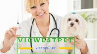 Vic West Pet Hospital image 2